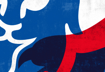 Three lions background graphic